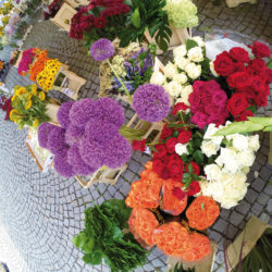 Blumenmarkt Bludenz