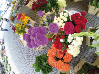Blumenmarkt Bludenz